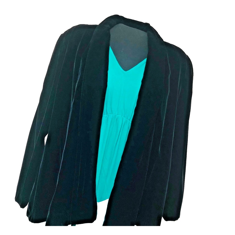 NWOT Lloyd Williams Womens Velvet Blazer Jacket USA‎ Old Money Whimsigoth 12